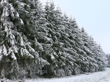 Schnee auf der schwäbischen Alb