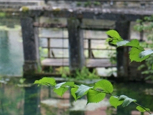 Blautopf in Blaubeuren