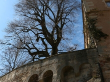 Schloss und Kloster Bebenhausen