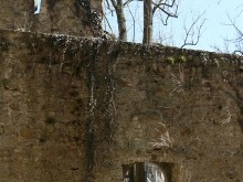 Schloss und Kloster Bebenhausen