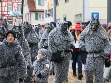 Faschingsumzug Neuhausen 2018