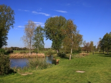 Federsee Bad Buchau Adelindis Therme