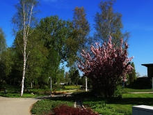 Federsee Bad Buchau Adelindis Therme