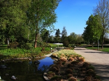 Federsee Bad Buchau Adelindis Therme