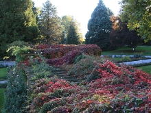 Insel Mainau