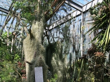 Botanischer Garten Tübingen