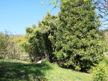 Botanischer Garten Tübingen