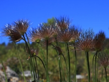 Botanischer Garten Tübingen