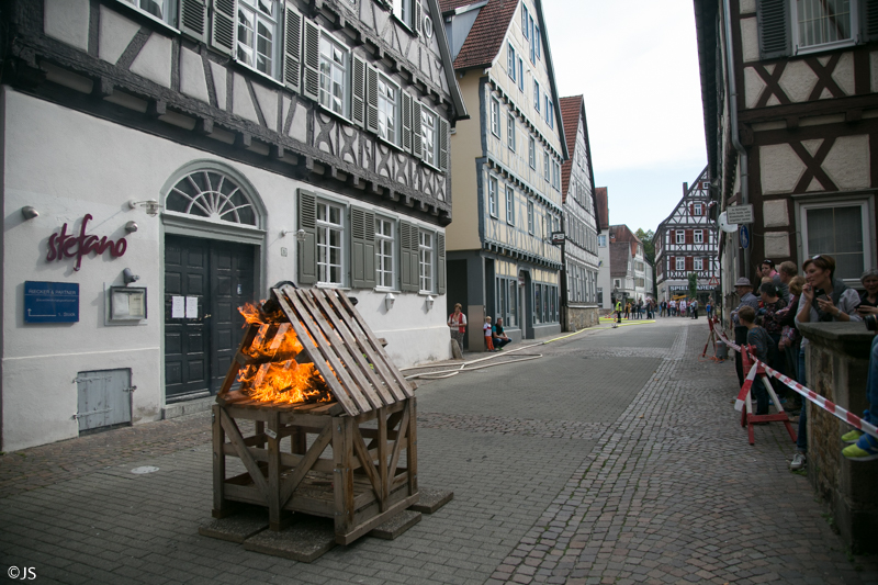 Museeumfest und Naberner Lösch Löwen von J.Stortz