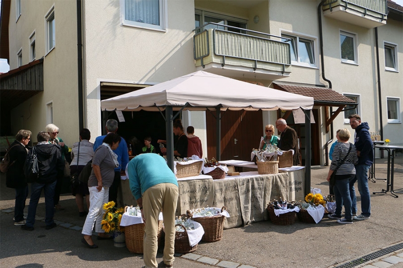 Neidlinger Zwetschgenfest