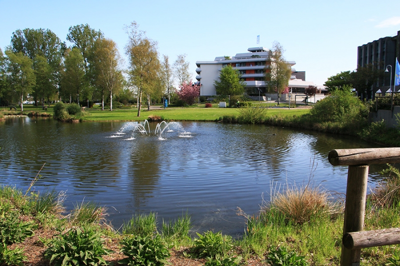 Federsee Bad Buchau Adelindis Therme