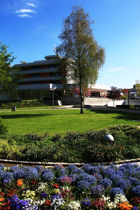 Federsee Bad Buchau Adelindis Therme