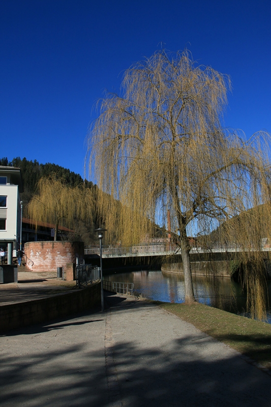 Hesse Stadt Calw