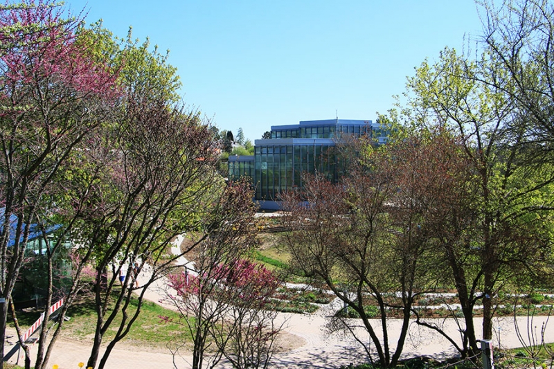 Botanischer Garten Tübingen