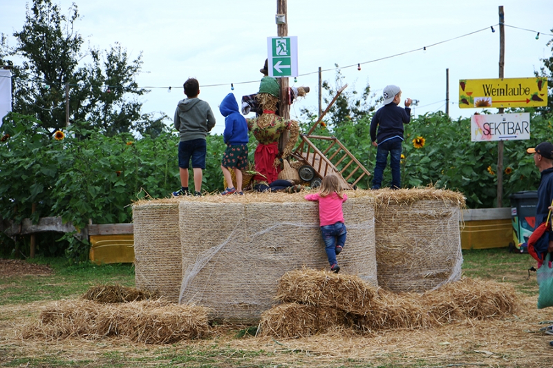 Goldgelb Festival 2019 in Aichwald_1