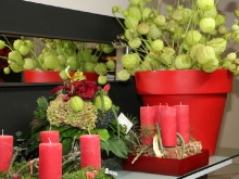 Das Weihnachtshaus von Blumen Gerber Kirchheim_33