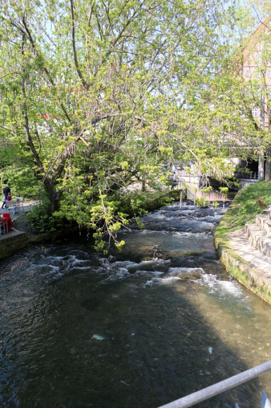 Ulm Muenster Fischerviertel_54