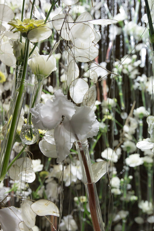 Blumen Gerber Adventsgeflüster