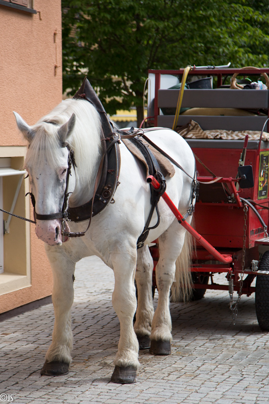 Schwörtage in Schwäbisch Gmünd_8