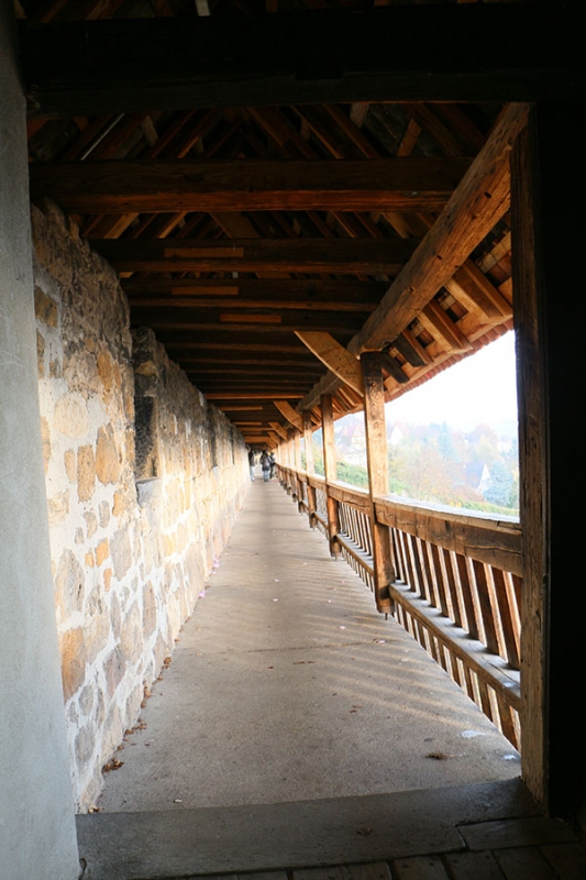 Burg Esslingen