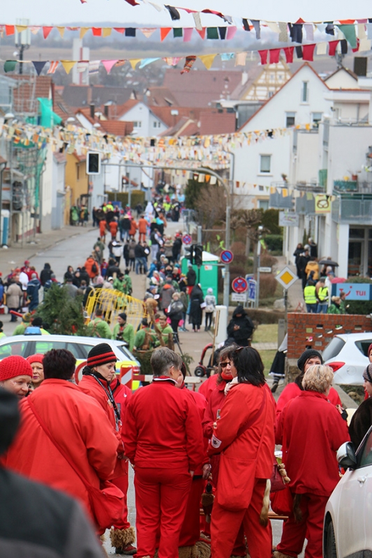 Faschingsumzug Neuhausen 2018