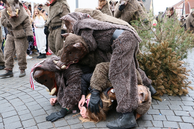 Faschingsumzug Neuhausen 2018