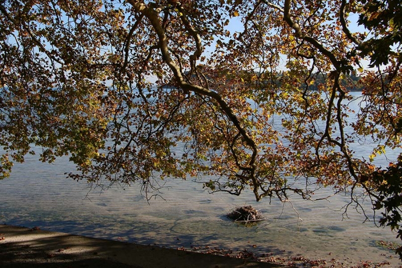Insel Mainau im Herbst