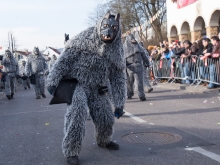 Wernauer Narren Umzug von JS