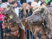 Wernauer Narren Umzug 2015