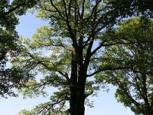 Grillplatz Weilheim Reutenberg