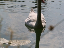 Herrenmühle Stausee