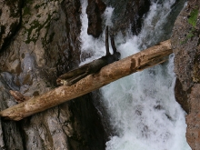 Breitachklamm