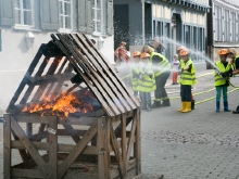 Museeumfest und Naberner Lösch Löwen von J.Stortz