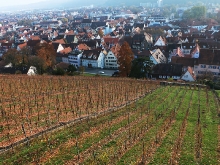 Burg Esslingen