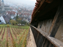 Burg Esslingen