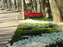 Gülhane-Park in Istanbul