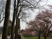 Schlossgarten Schwetzingen_33