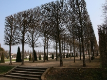 Schlossgarten Schwetzingen_57