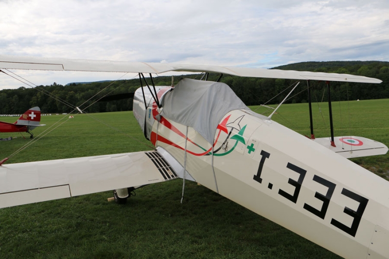 Hahnweide Oldtimer-Fliegertreffen 2013_1592