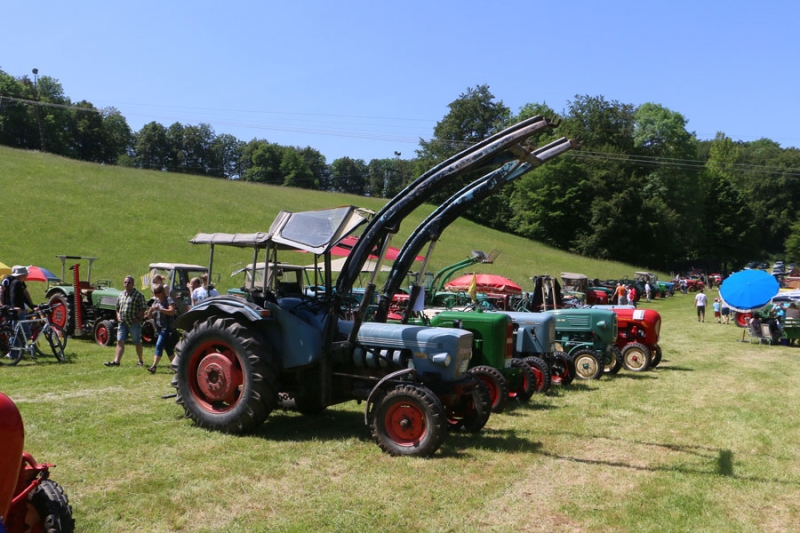 Oldtimertreffen Schopfloch Ochsenwang_52