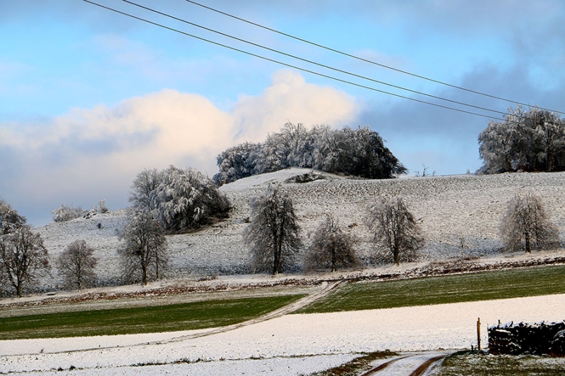 Schnee auf der schwäbischen Alb