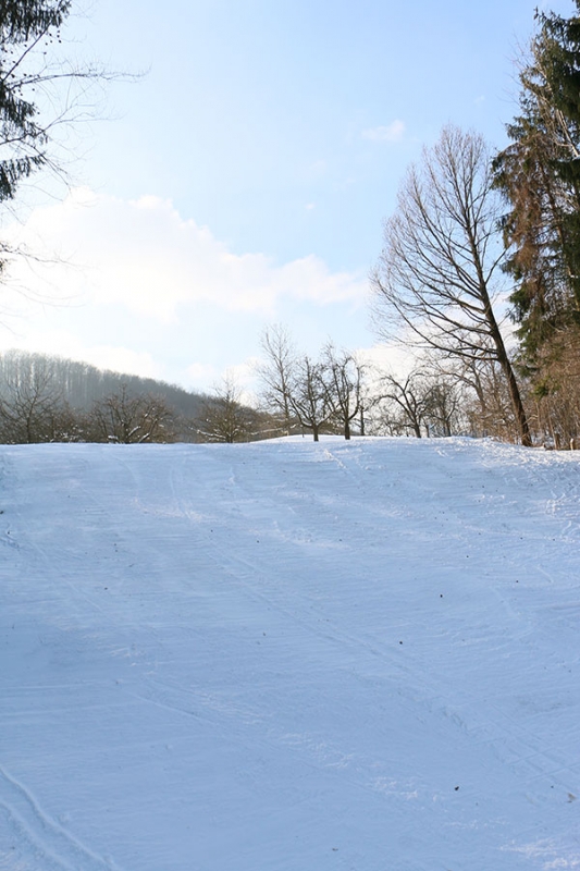 Reussenstein Pokal 2015