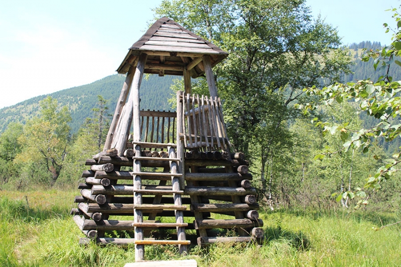 Hochmoor/-bad in Oberjoch