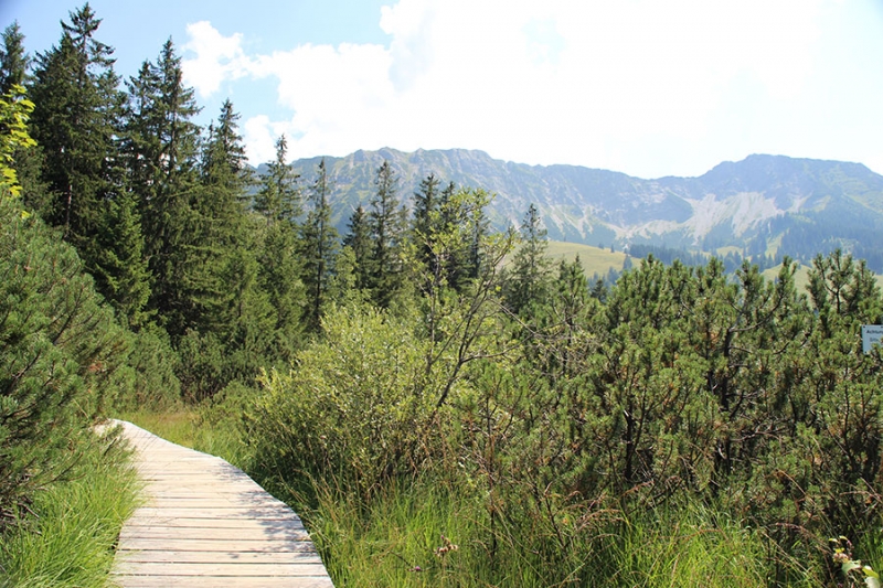 Hochmoor/-bad in Oberjoch