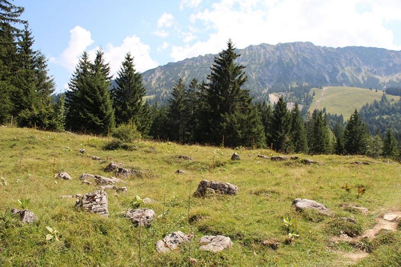 Hochmoor/-bad in Oberjoch