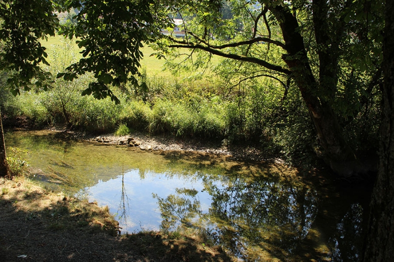 Großer Alpsee Immenstadt