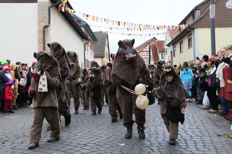 Faschingsumzug Neuhausen 2018