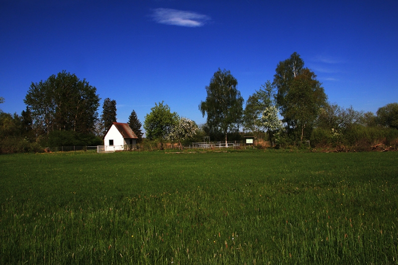 Federsee Bad Buchau Adelindis Therme