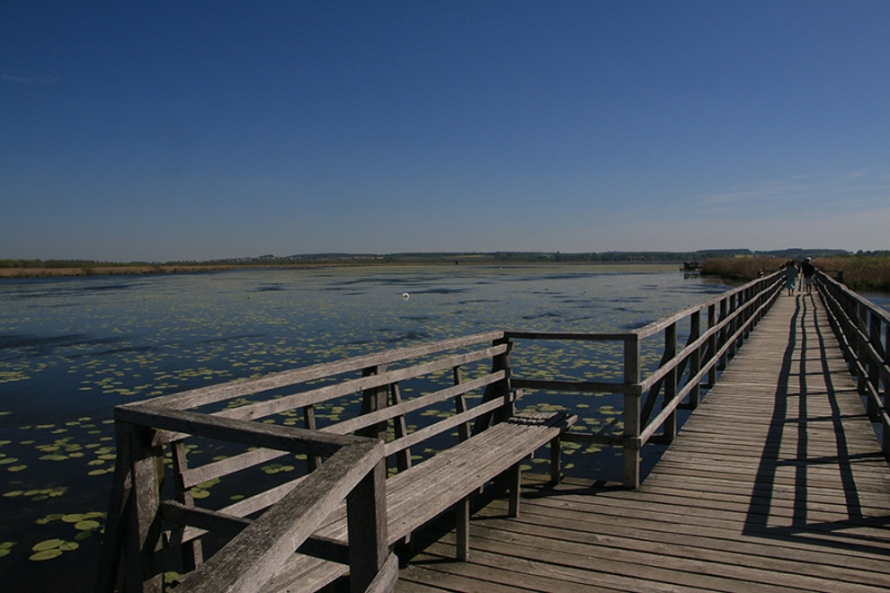 Federsee Bad Buchau Adelindis Therme