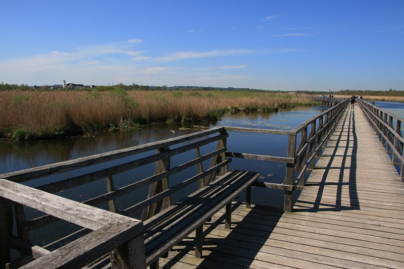 Federsee Bad Buchau Adelindis Therme